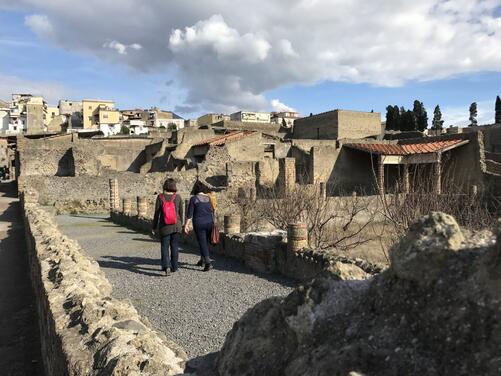 Guided tour of Pompeii and Herculaneum-3