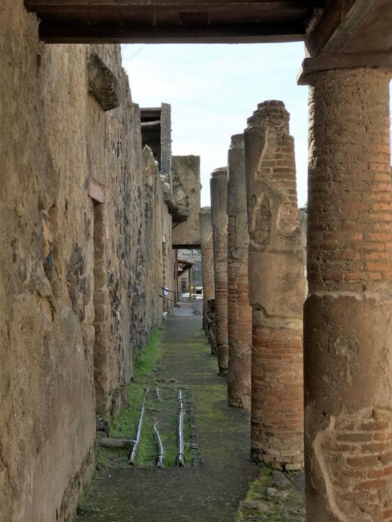 Guided tour of Pompeii and Herculaneum-7