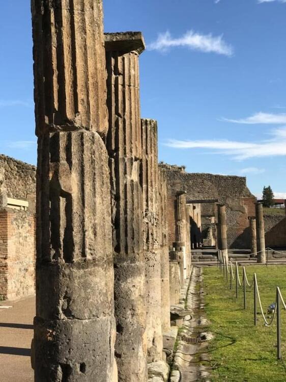 Naples Port tour of Pompeii and pizza master class-4